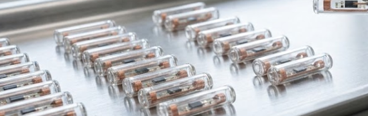 Close-up of high-quality Schott 8625 bio-glass microchip materials used for durable animal identification implants Close-up of high-quality Schott 8625 bio-glass microchip materials used for durable animal identification implants